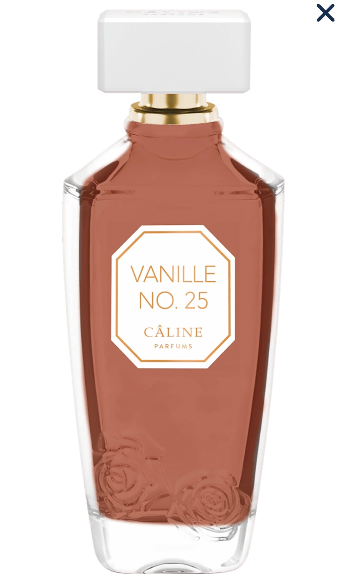 (P) Câline Vanille No. 25 60 ml pour Femme